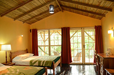 air conditioned private bathroom with hot and cold shower. Jungle lodge