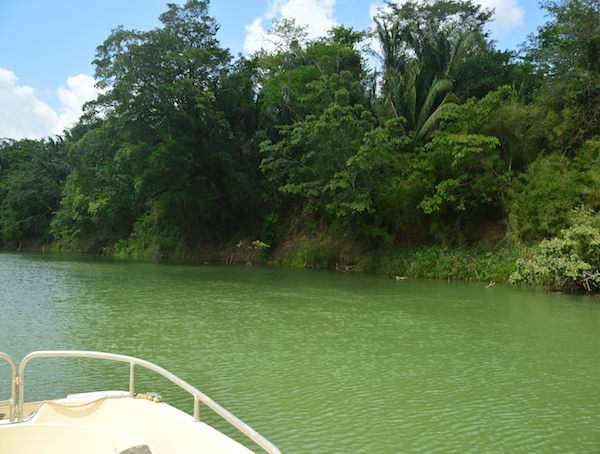 Belize River Pontoon