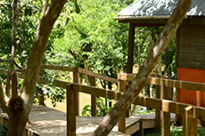 outside view of the white maya cabin with riverfront | Howler Monkey lodge