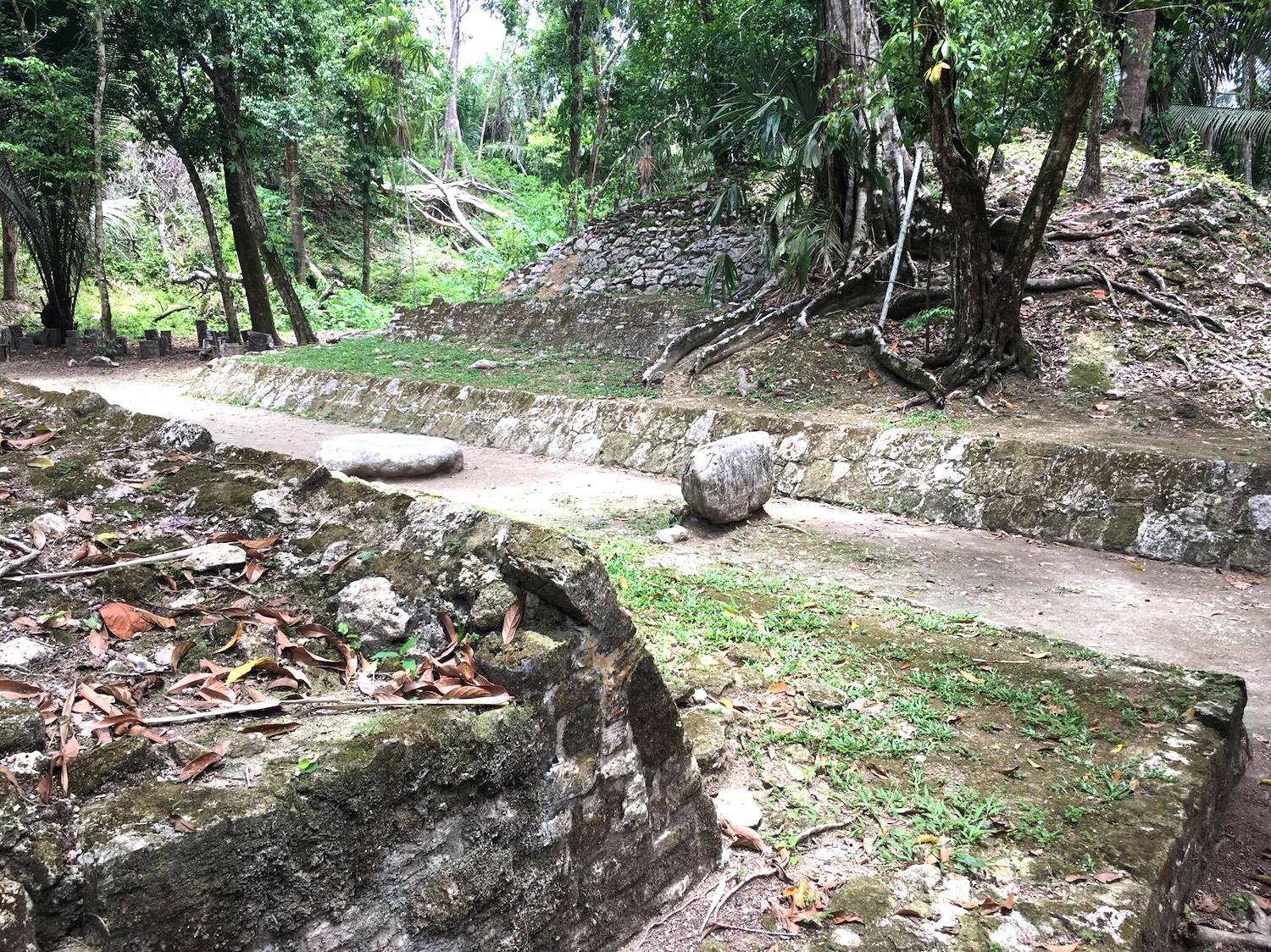 View from the High Temple Lamanai Mayan Site