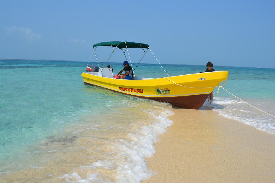 Goff's Caye Beach Day and Snorkeling